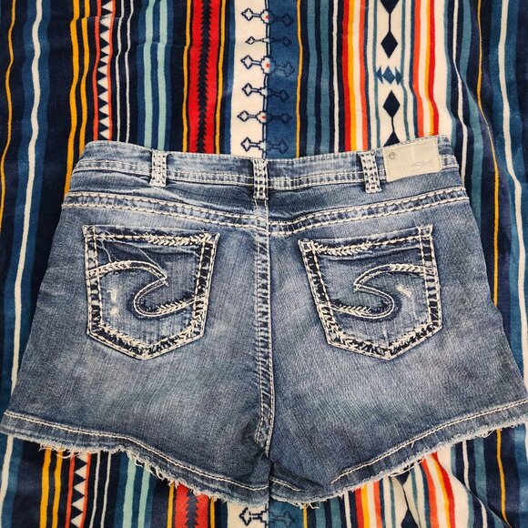 Silver Shorts - Picture 2 of 3